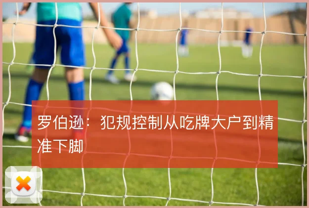 罗伯逊：犯规控制从吃牌大户到精准下脚