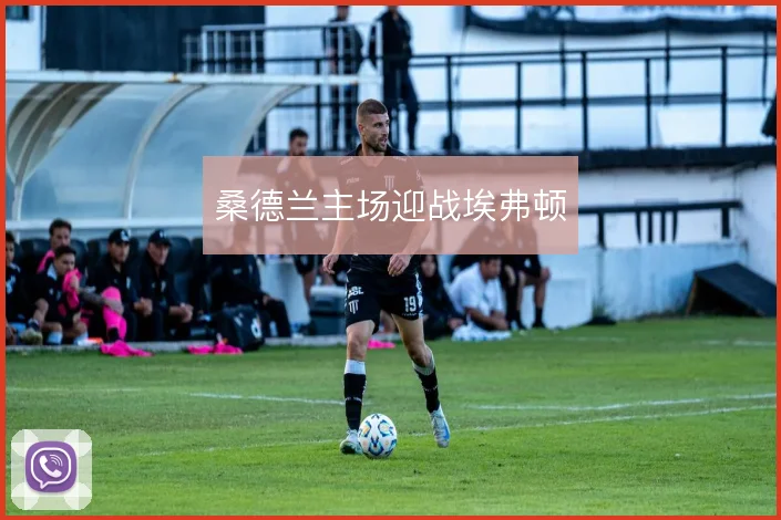 桑德兰主场迎战埃弗顿