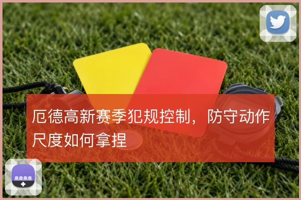 厄德高新赛季犯规控制,防守动作尺度如何拿捏