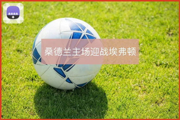 桑德兰主场迎战埃弗顿